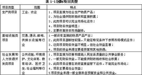 咨询工程师辅导 项目分类及关注点